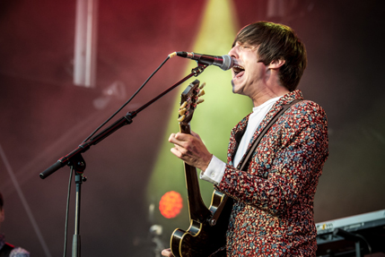 the wombats